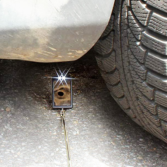 Telescopic Mirror