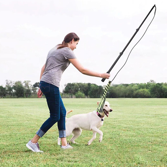 Lnteractive Telescopic Pole for Pets