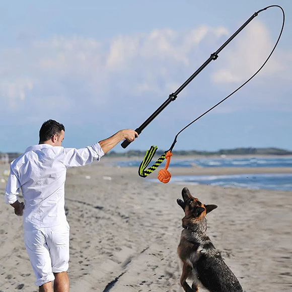 Lnteractive Telescopic Pole for Pets