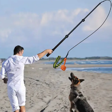 dog.png